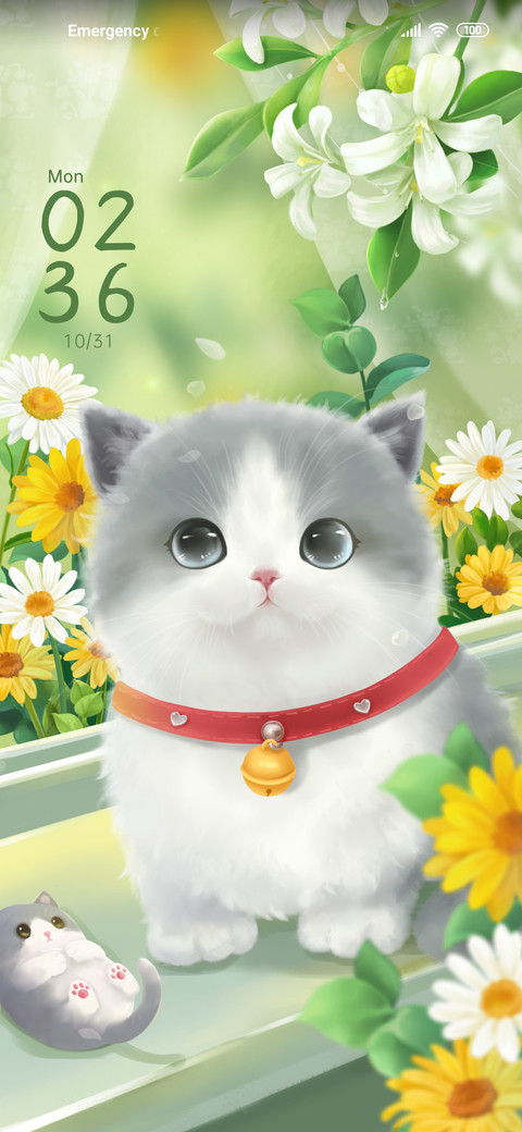 Duofu+Meow+dyna screenshot