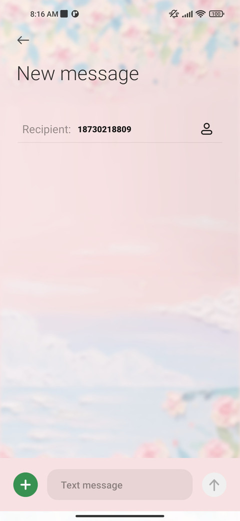 Spring Letter screenshot