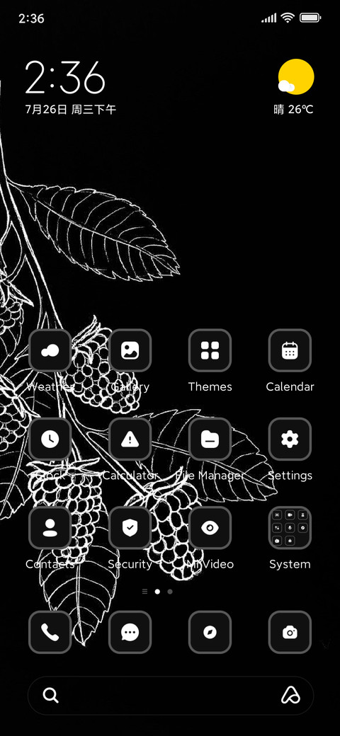 Raspberry screenshot