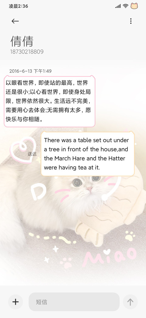 ins猫咪渐变涂鸦 screenshot