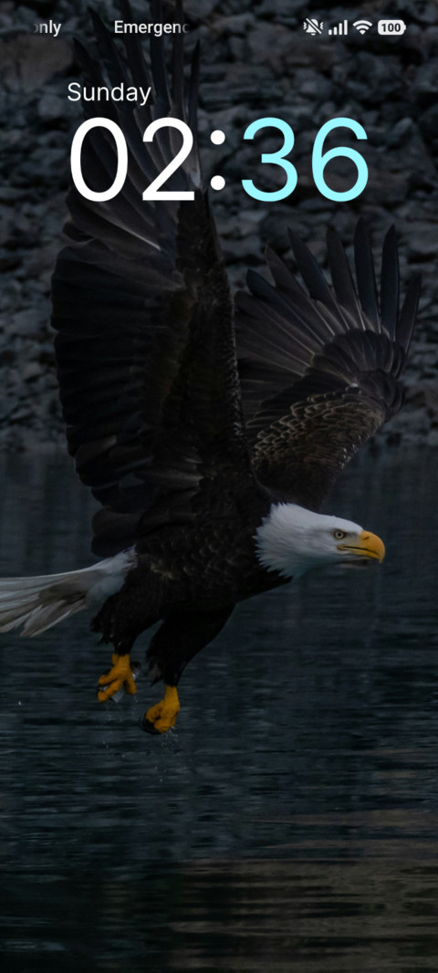 Freedom Glide screenshot
