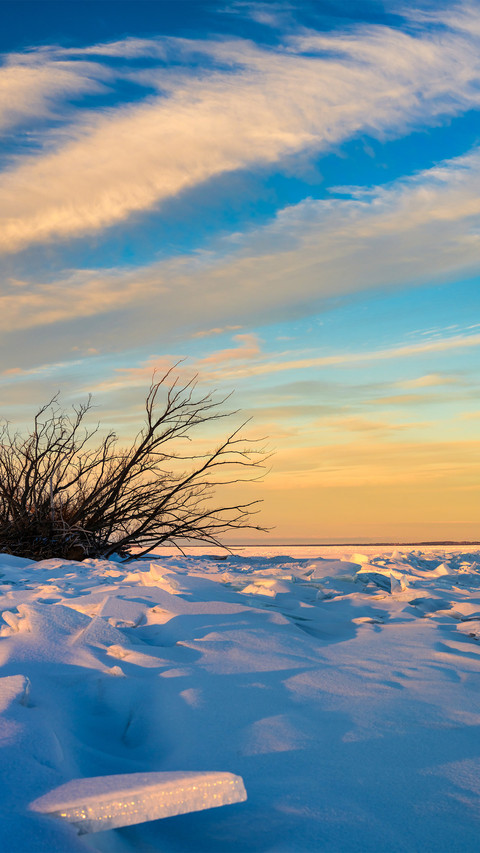 Snowy landscape of the land screenshot