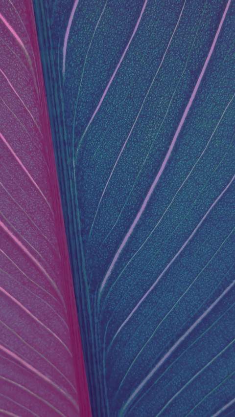 Art Wallpapers-10 screenshot
