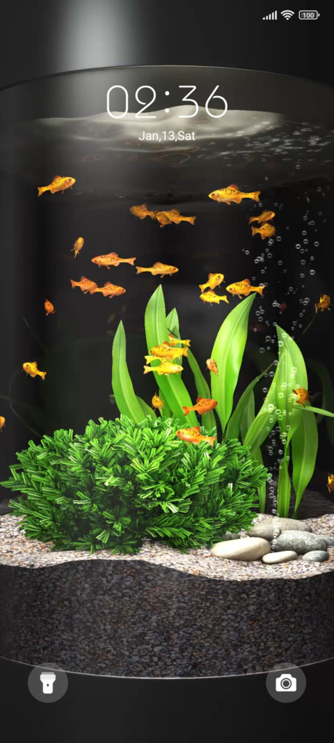 Goldfish screenshot