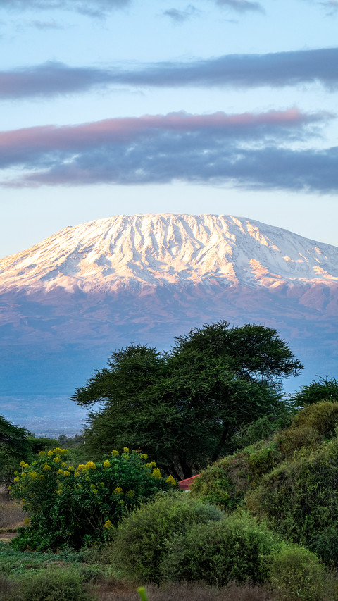 Why are the equatorial snowcapped mountains disappearing screenshot