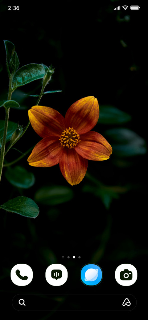 Amber Bloom screenshot
