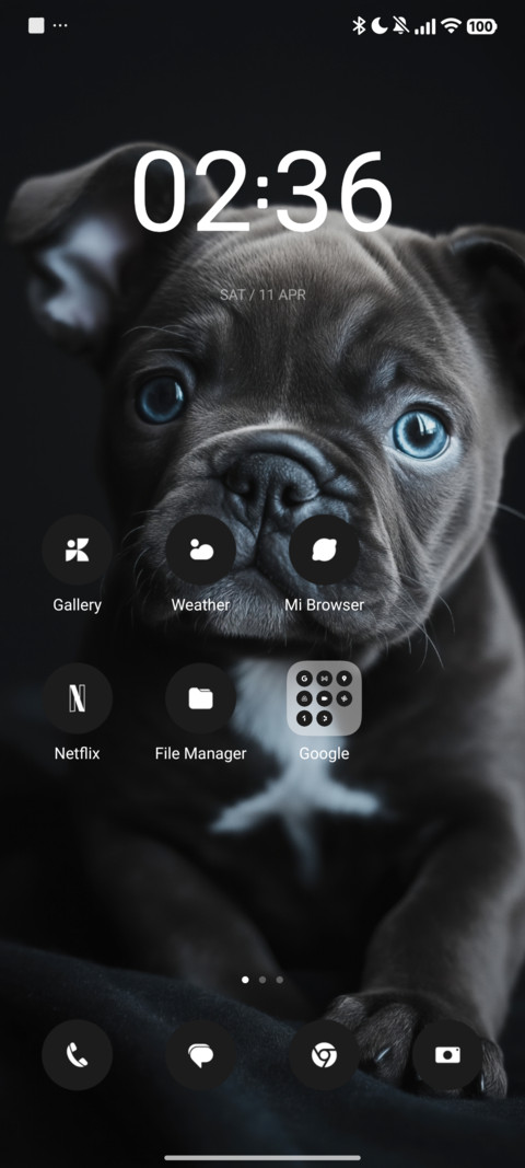 Black Dog screenshot