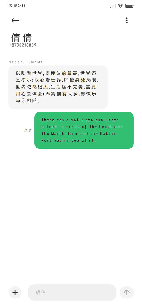 烟花点燃新年 screenshot