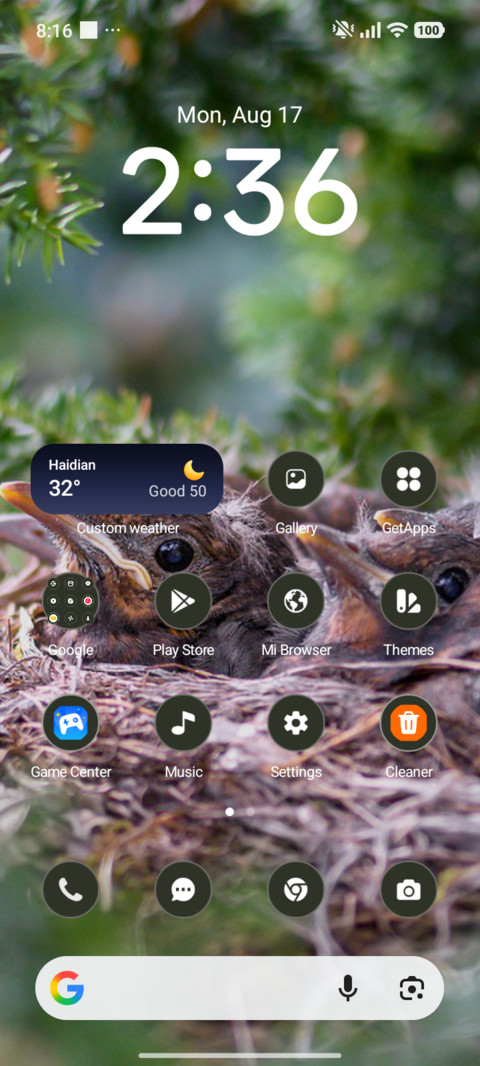 Forest Nest screenshot