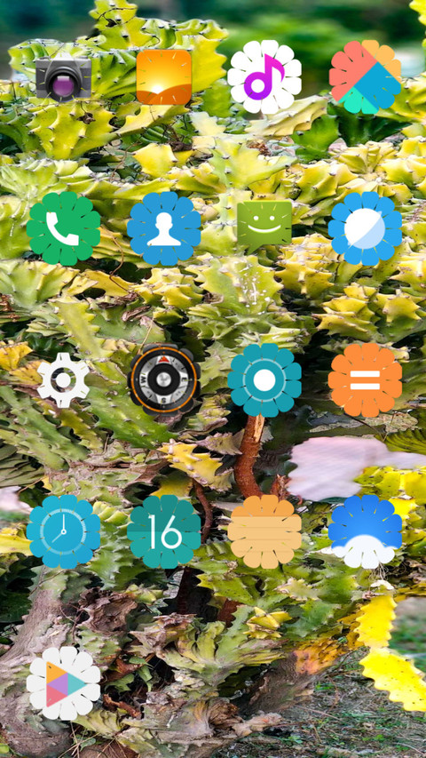 CactusFlower_DWM2 screenshot
