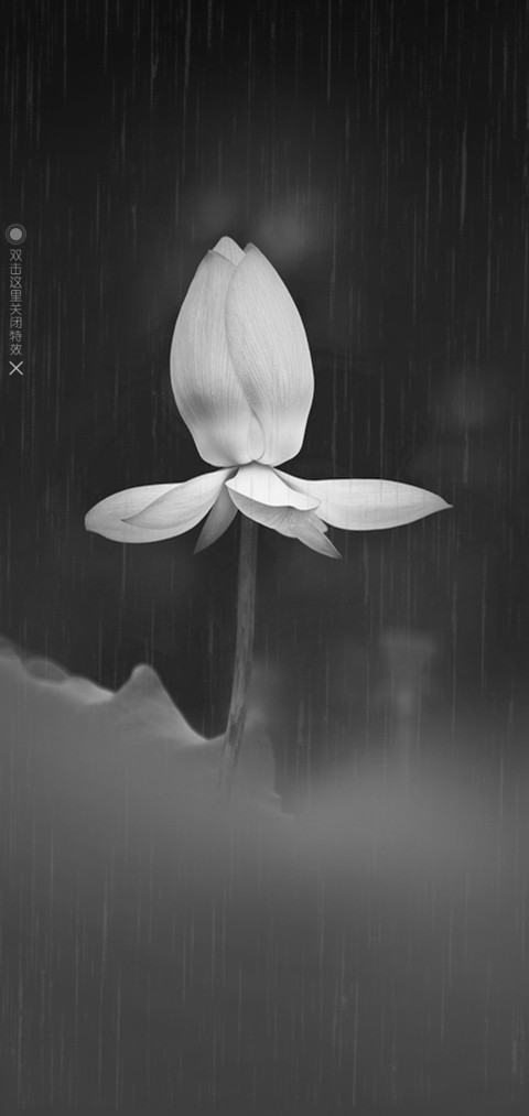 夏·雨·荷 screenshot