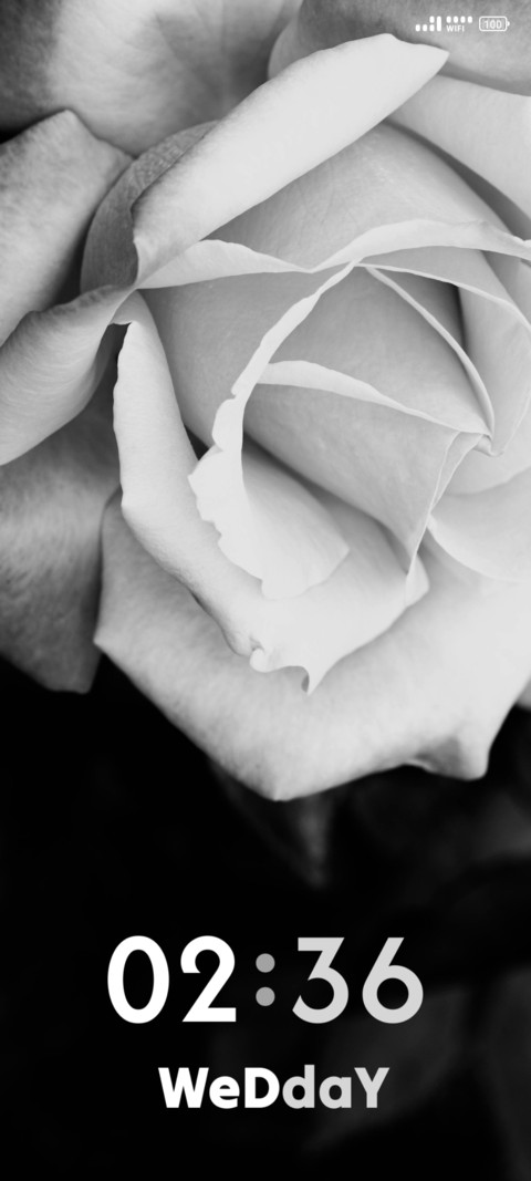 Rose Close Up screenshot