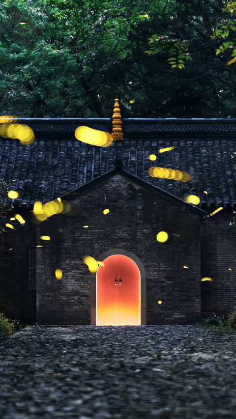 南京灵谷寺萤火虫之夜 screenshot