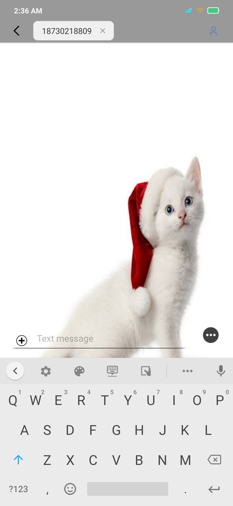White Cat v11 screenshot