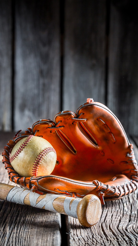 india-baseball screenshot