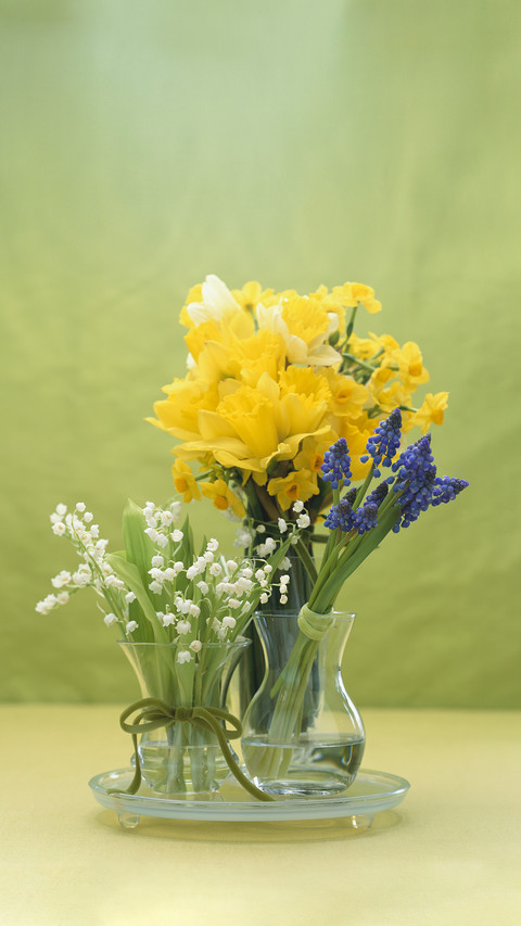 How to extend the freshkeeping period of flowers 6 screenshot