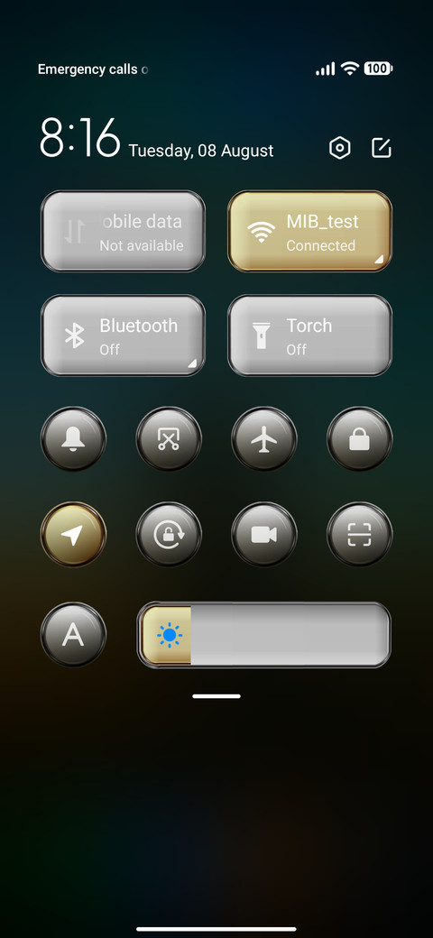 FyM v11 screenshot
