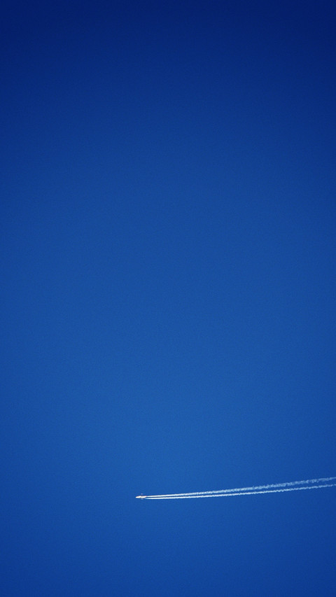 landing-1356 screenshot