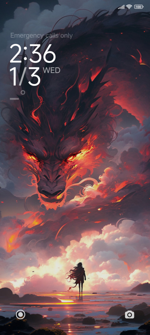 Fire and Dragon screenshot