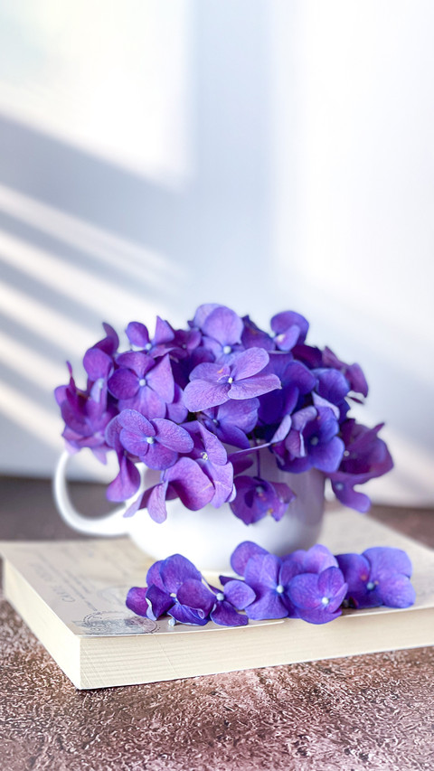 Hydrangea is one of the most popular ornamental flowers screenshot