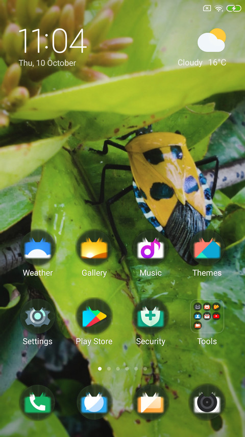 insect_DWM2 screenshot