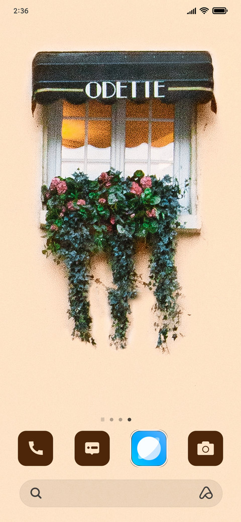 Window screenshot