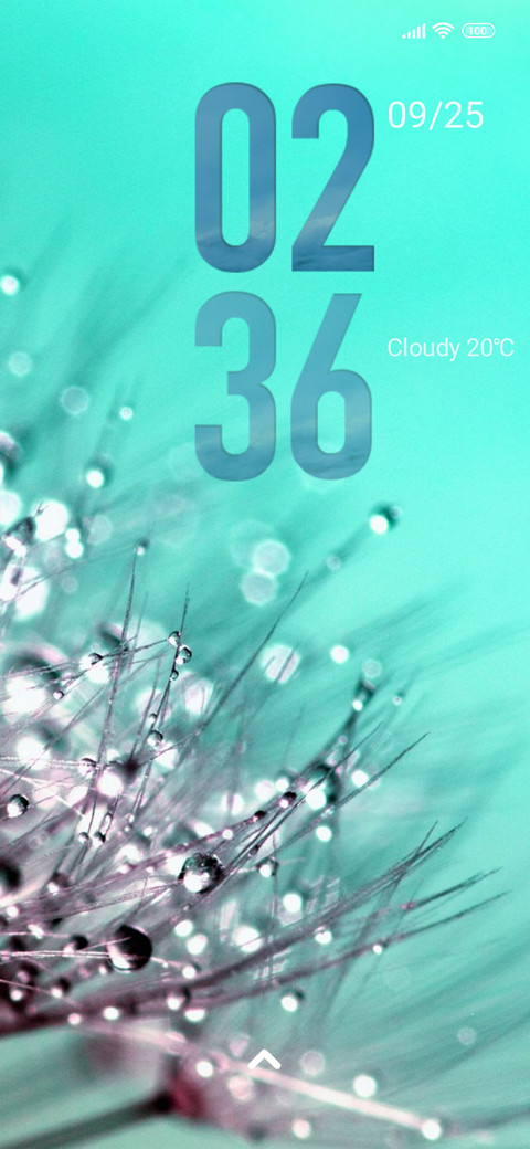 nature dandelion screenshot