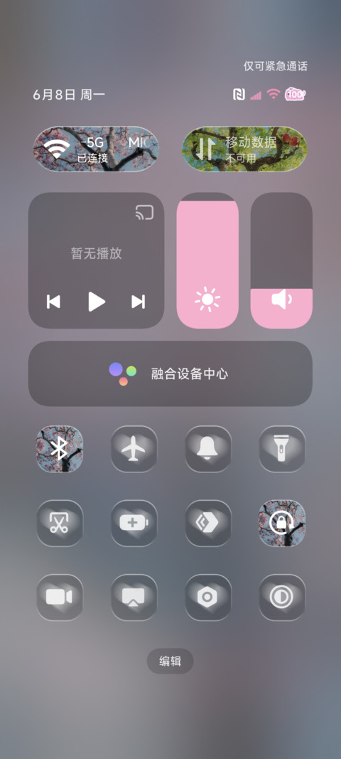 ins花与果实与风 screenshot