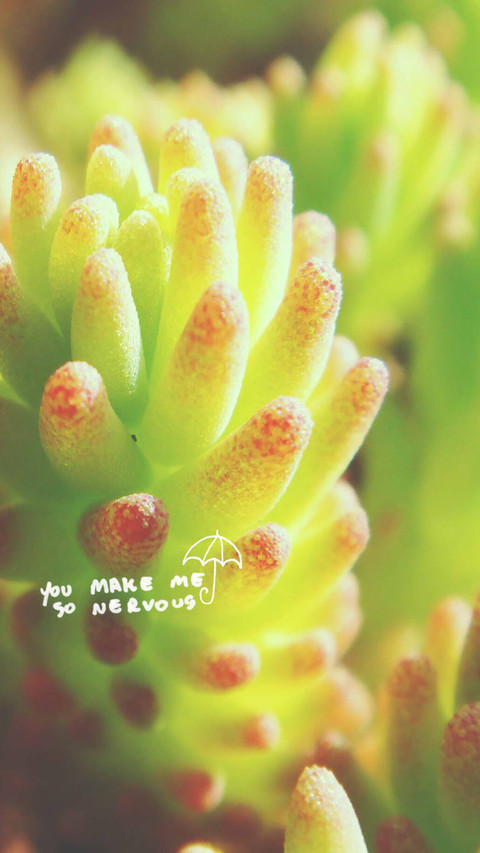 Plant word screenshot