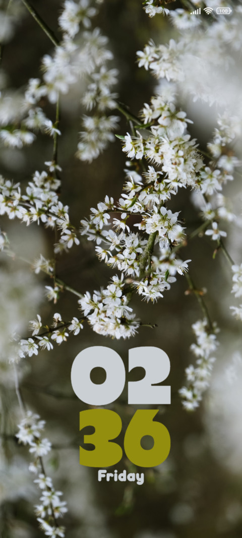 Tree Blossoms screenshot