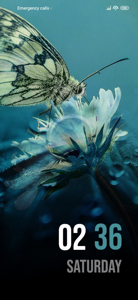 Butterfly Flower screenshot