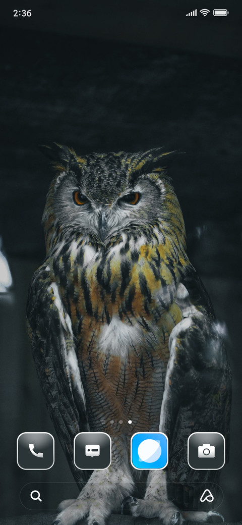 Owl Dark screenshot