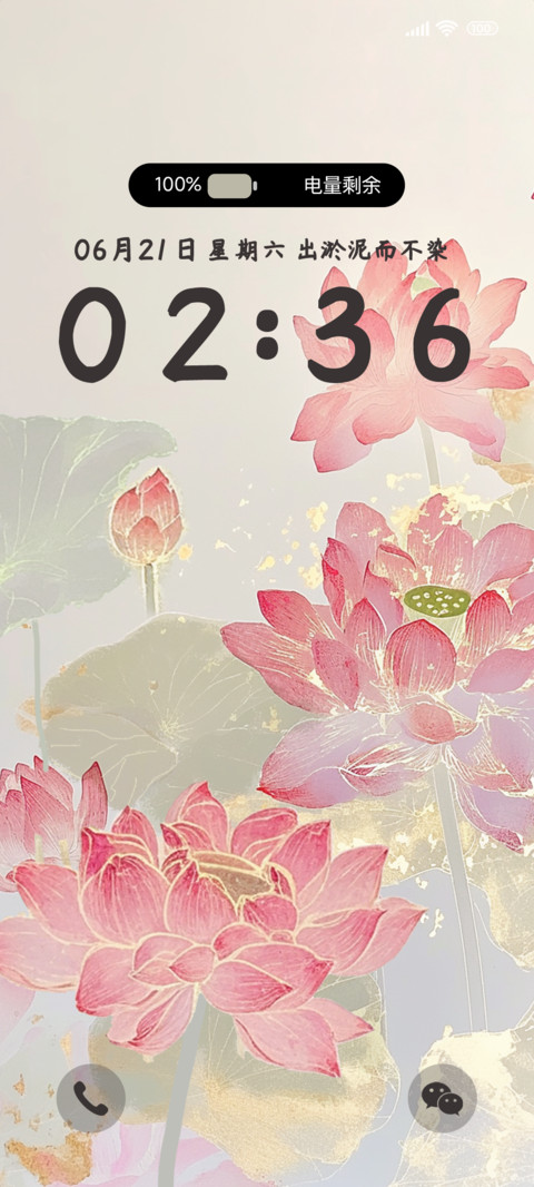 国风金韵粉荷 screenshot