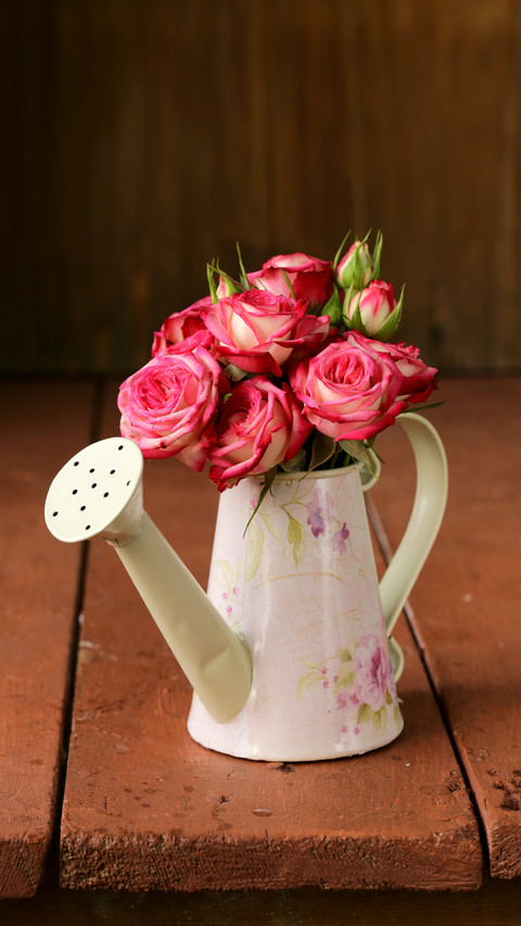Watering pot rose 06 screenshot