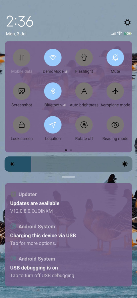 bird watching screenshot