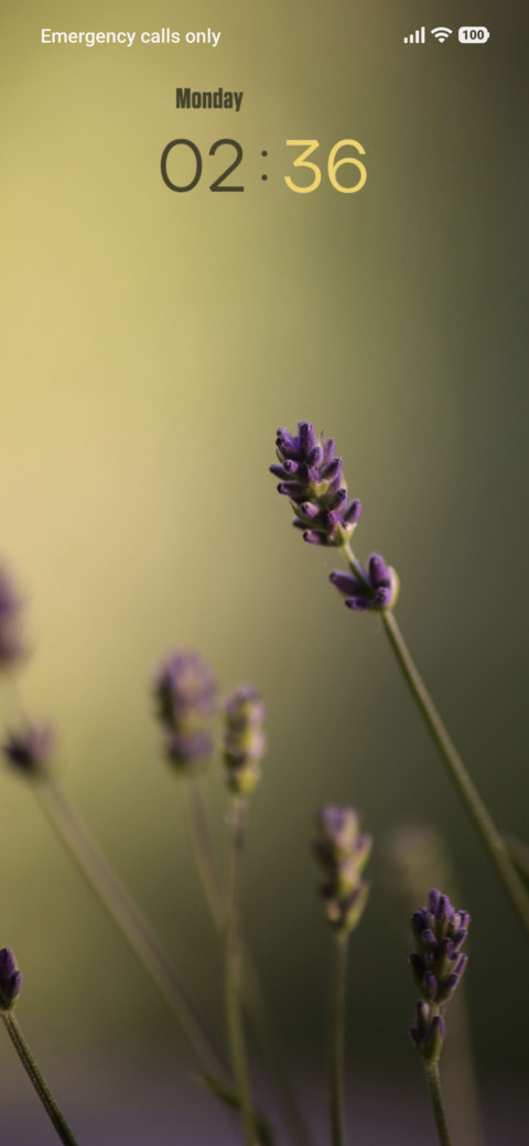 Lavender screenshot
