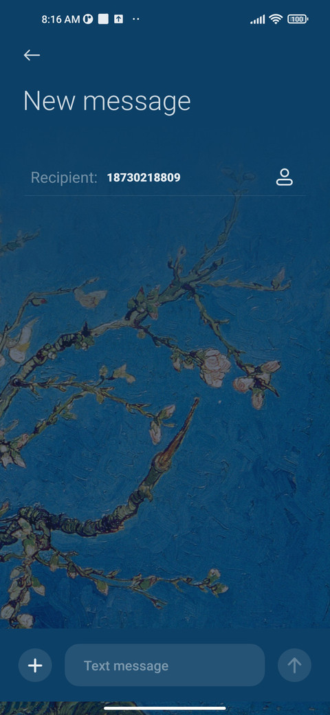 Apricot Blossom screenshot