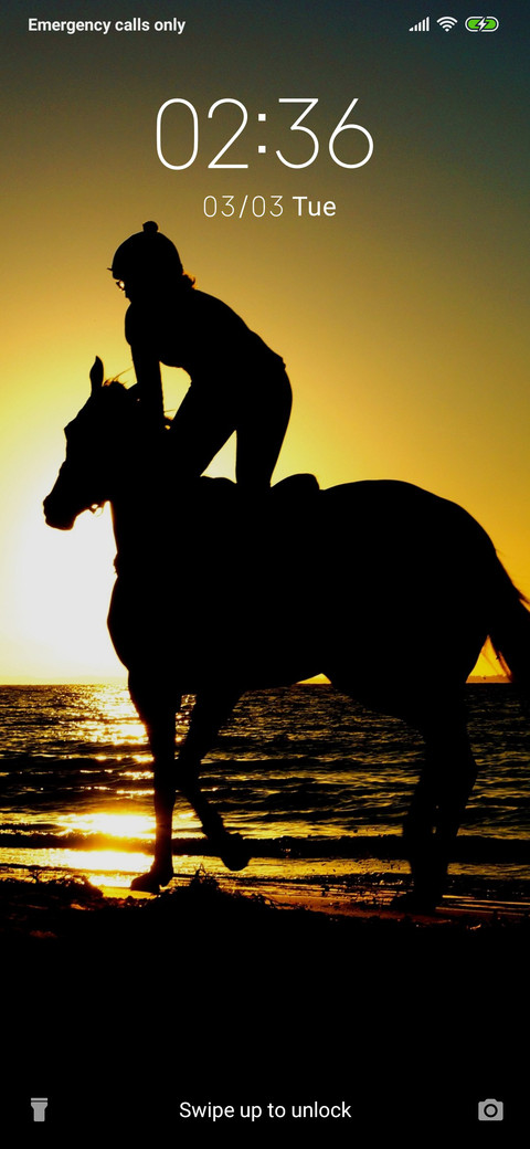 Horse Rider_3MDS screenshot