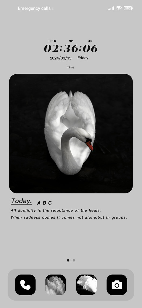 Waltz black white screenshot