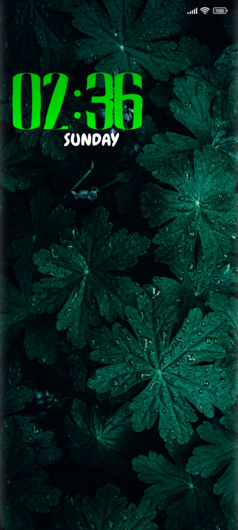 dark green screenshot