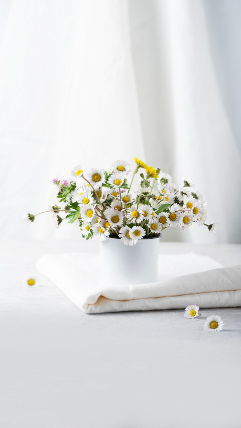 Concept of cozy home decor with wild daisy flowers screenshot