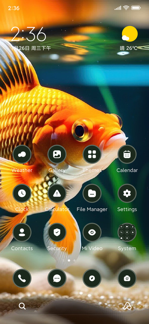 Golden Fish screenshot