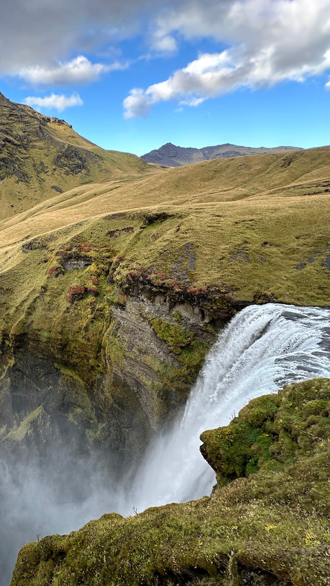 Matcha mountain skoga falls 2 screenshot