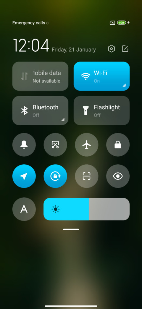 Jungle for screenshot