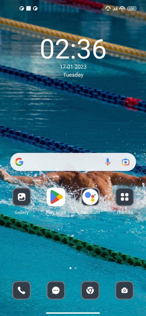 Swimming screenshot
