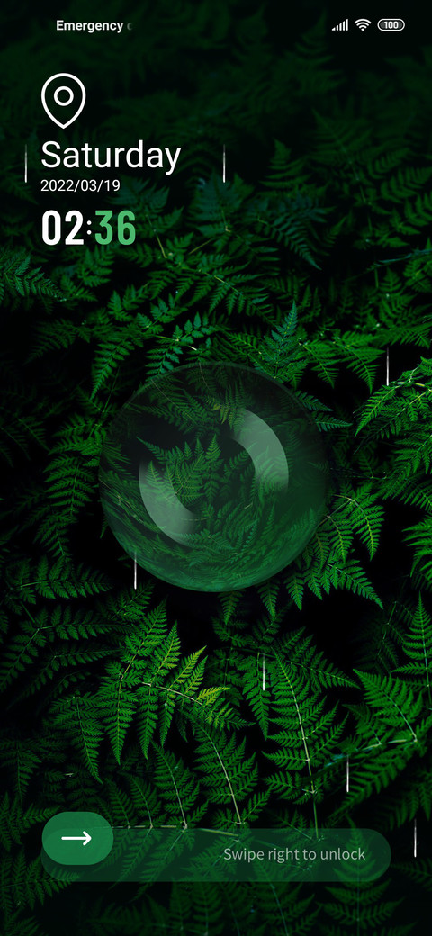 Forest screenshot