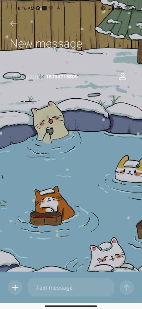 Hot spring cat screenshot