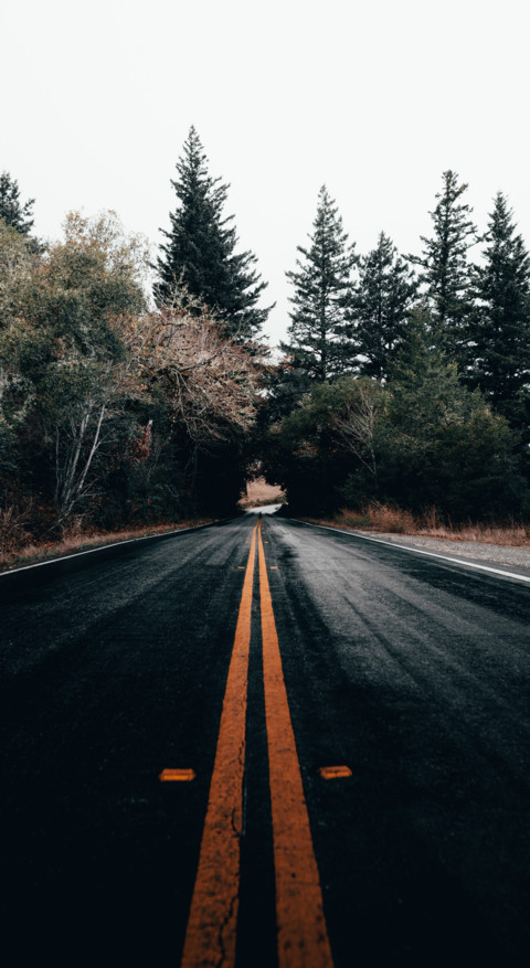 Roads & Pathways (16) screenshot