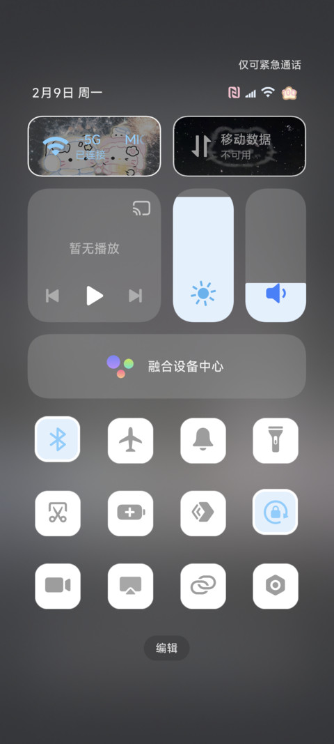 猫猫 烟花下的我们 screenshot