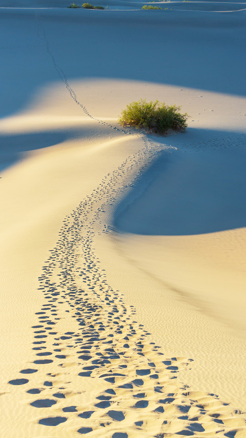 desert screenshot